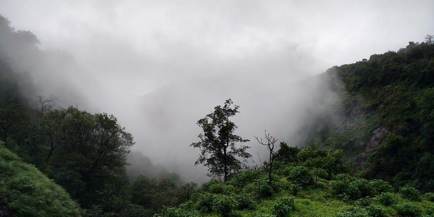The Andharban Trail Point is a stunning tourist attraction featuring misty forests.