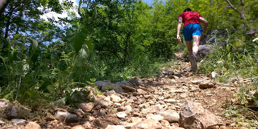 Person in red and blue hiking up a rocky forest trail surrounded by dense green foliage.