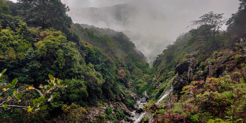 Andharban Forest trail, among lush places to visit near Pune within 100 km range