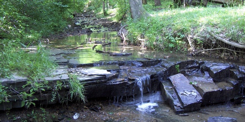 Anerdam Wildlife Sanctuary is home to a variety of wildlife species.