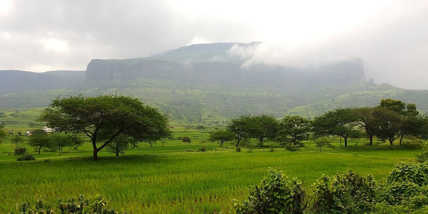 Gorgeous panorama of the Anjaneri Hills surrounded by breathtaking flora