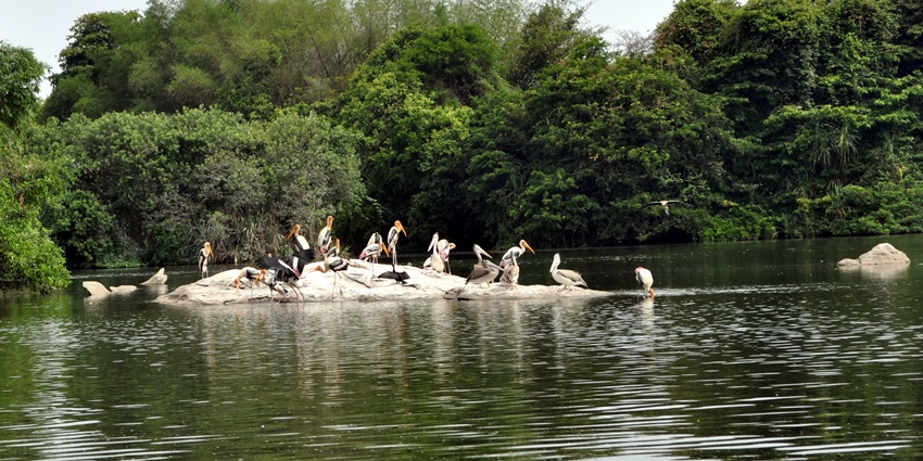 Ankasamudra Bird Conservation Reserve is a haven for migratory birds.