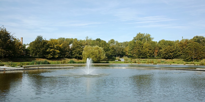 An image view of Apsara Vihar, a tranquil natural pool surrounded by dense forest.
