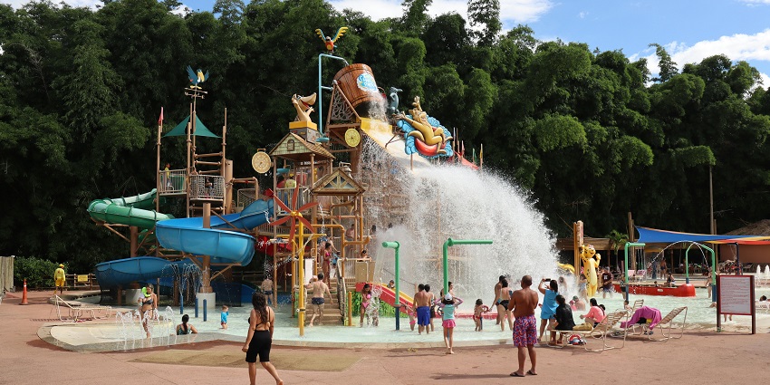 White water slides at one of the best water park in Shirdi, with palm trees in the background
