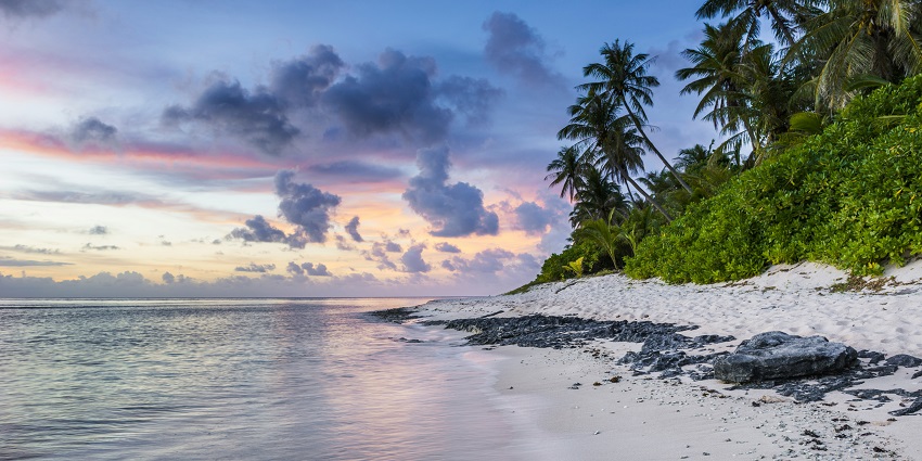 An image showing Arnala Beach which offers serene views and picturesque landscapes.