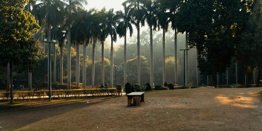 A beautiful park in New Delhi during the evening time with tall trees and a bench in the middle.