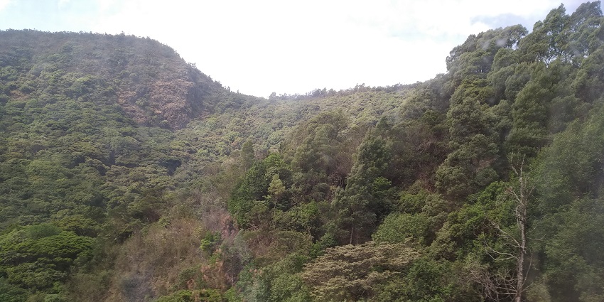 Avalanche, a hill station near Ooty, that is perfect for nature lovers and adventuers.