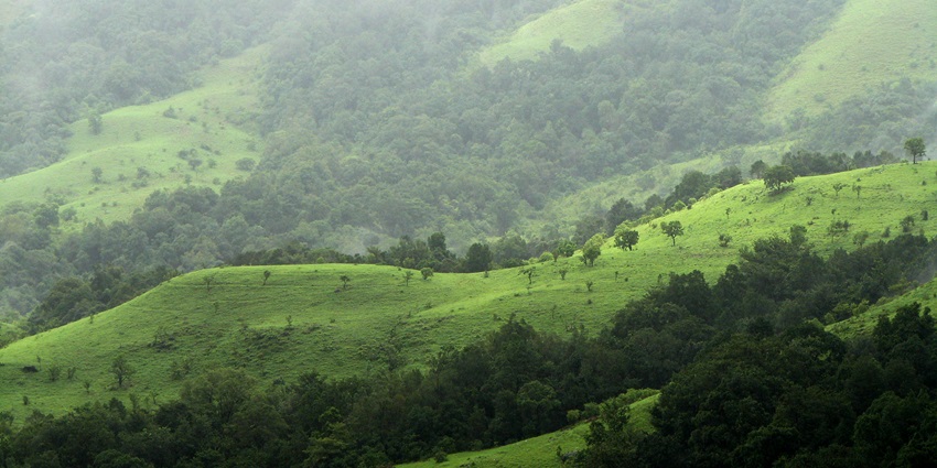 Verdant mountain ranges of Avathi Hills, one of the places to visit near Bangalore within 100 kms.