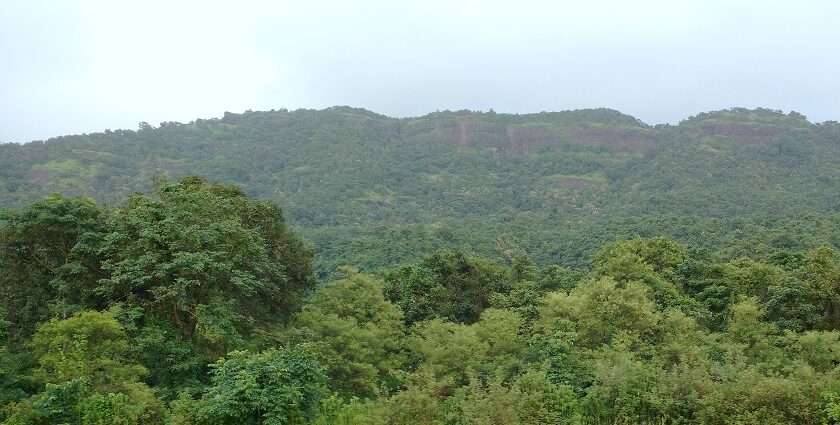 Avchitgad Fort, the historic site, scenic views, and adventurous treks.