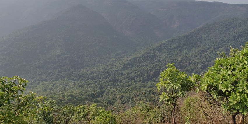 A picture of the western ghats housing the scenic Ayyanar Falls.