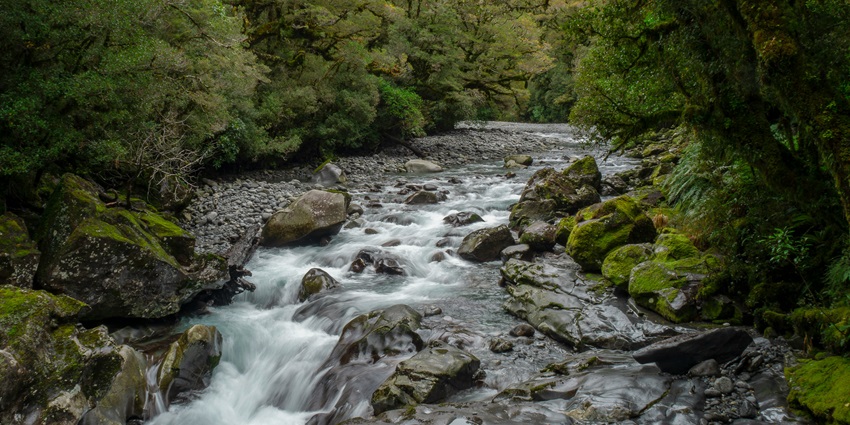 An awe-inspiring view of Ayyanar Sunai, a natural spring surrounded by lush greenery.