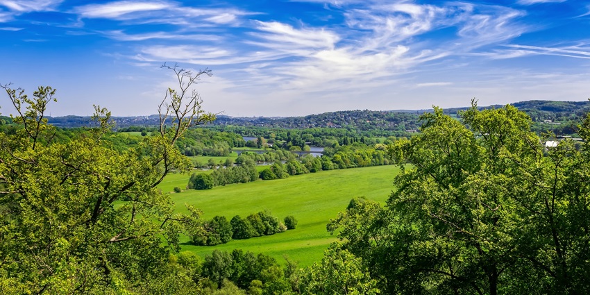 Places to visit near Bangalore with family include Biligiriranga Hills, also called BR Hills.