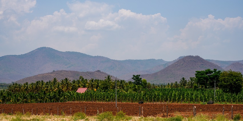 A picture of densely forested hills of BR Hills with misty clouds and wildlife habitat.