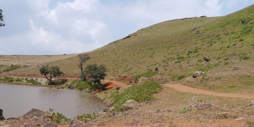 A Water Trail at Mullayanagiri, one of the places to visit near Chikmagalur