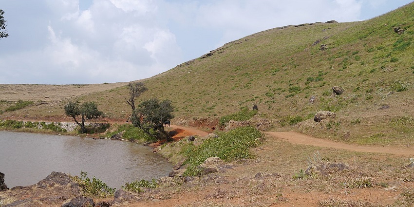 Baba Budangiri, is among the famous places to visit in Chikmagalur with its Sufi shrine and coffee plantations