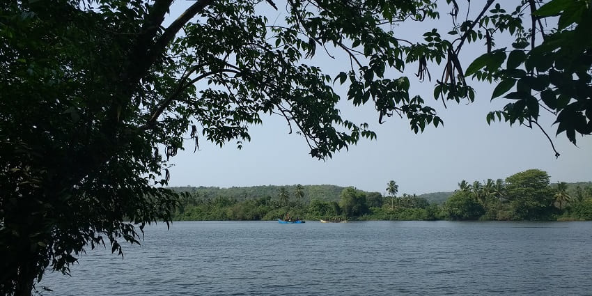 Enjoying a backwater boat ride in Karli River is one of the best things to do in Tarkarli.