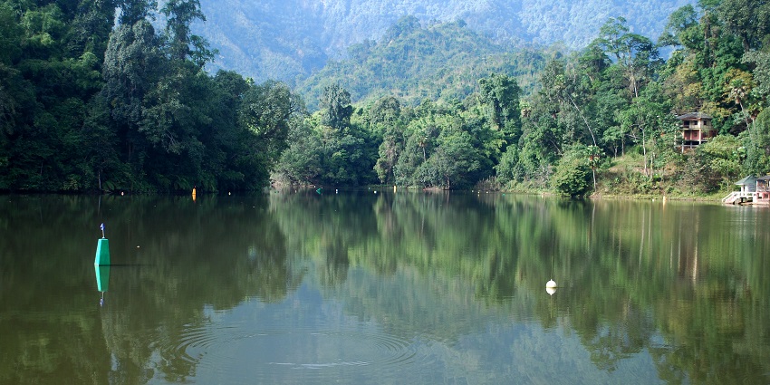 Panoramic image of the beautiful lake surrounded by the lush green wild trees of jungle.