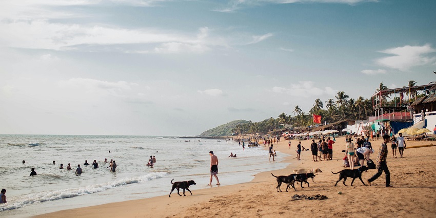 Baga Beach is a lively and popular tourist destination near Blue Whale Water Park in Goa.