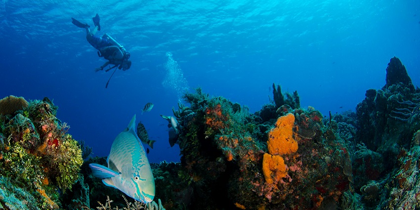 A glimpse of Baina Beach, a scenic destination for trying Grand Island Goa scuba diving.
