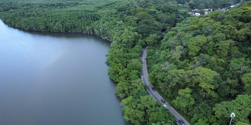 Lush landscapes of Bali Barat National Park depicting its diversity of flora and fauna.