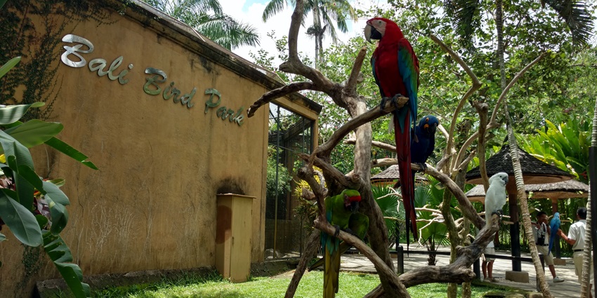 Entrance gate of the Bali bird park, a must visit places to try night safari in Bali