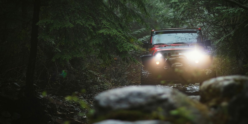 Image of a jeep riding through dense forests of Bali at night