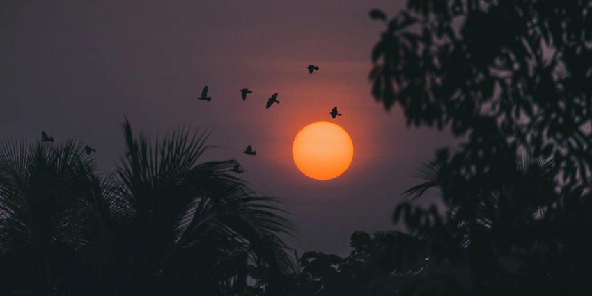 View of Bamni Dadar ideal for breathtaking sunsets and scintillating scenery near Kanha National Park.