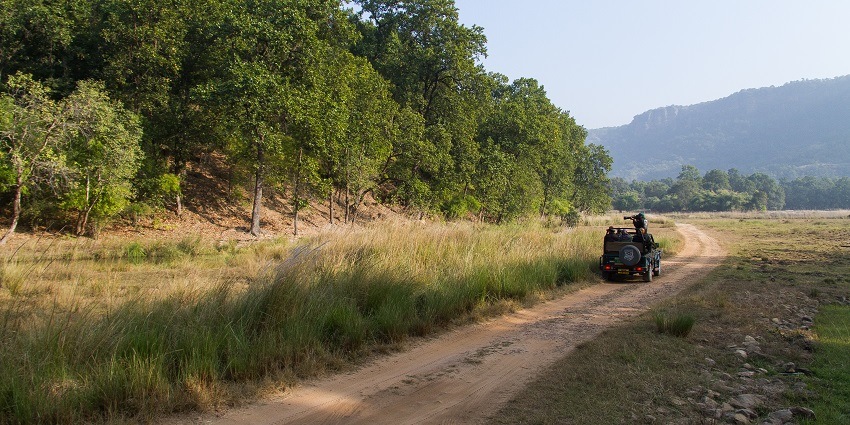 View of the Bandhavgarh National Park surrounded by lush greenery and showcasing diverse flora and fauna