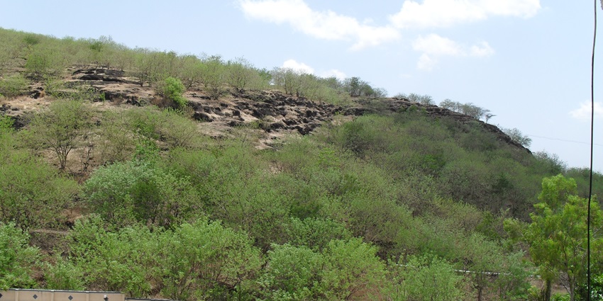Baner-Pashan Biodiversity Park is one of the famous places to visit in Baner for visitors.