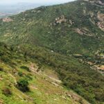 Scenic view of mountains and valley surrounded by lush greenery - places to visit in april near bangalore