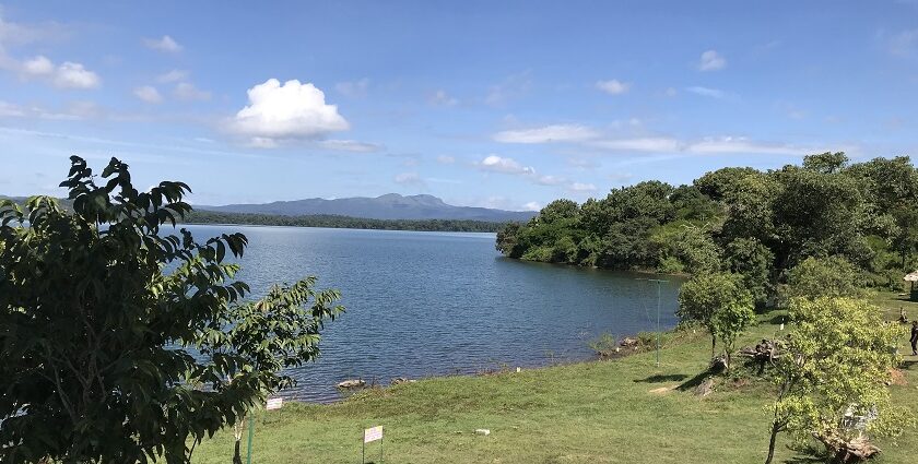 A scenic view of Harangi Elephant Camp, one of the best places to visit near Bangalore in August.