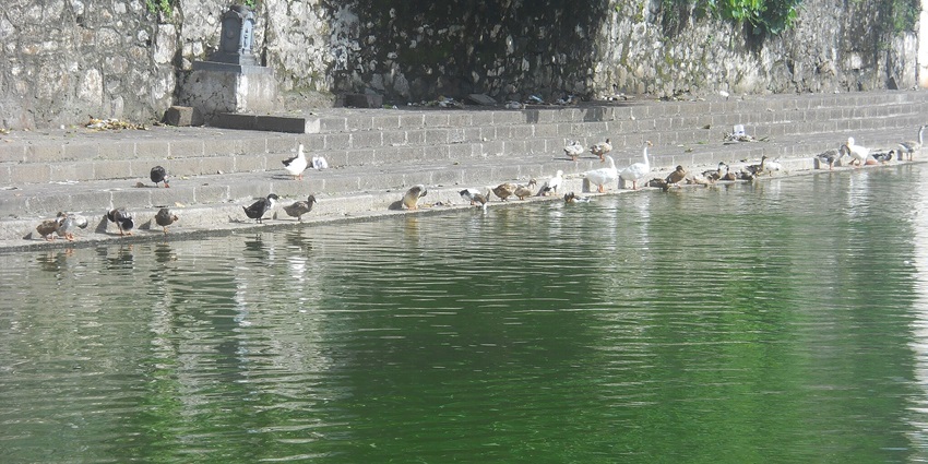 A view of Banganga Tank, one of the best places to visit near Kanheri Caves National Park.