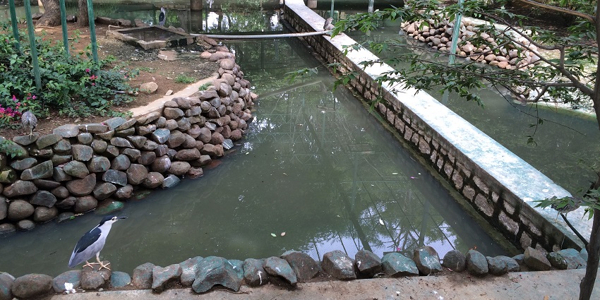 Bannerghatta Park, scenic landscape.