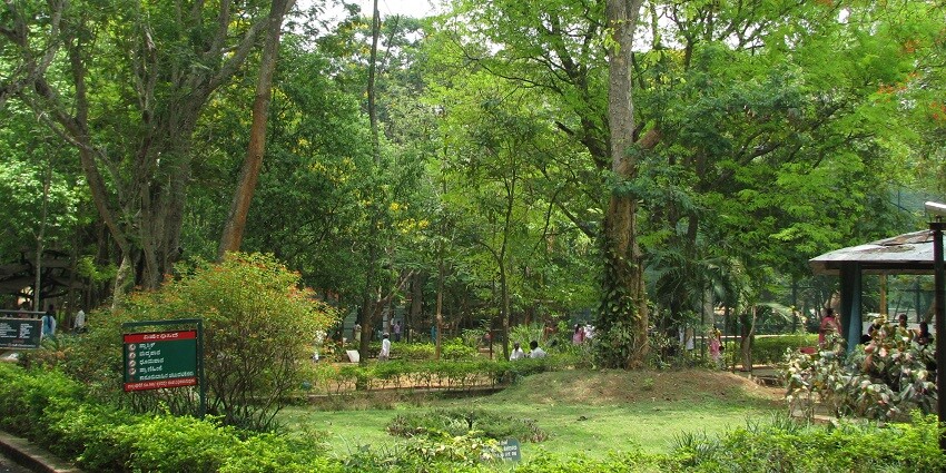 The lush landscapes inside Bannerghatta National Park