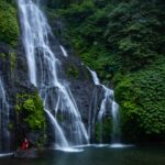 An aerial view of cascading waterfalls surrounded by lush green forests and rocky terrain.