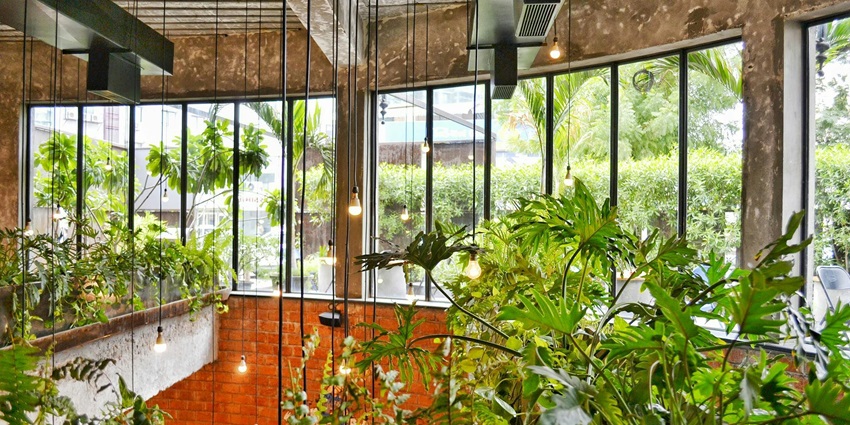 An image of a serene indoor garden with plenty of greenery around and nice lighting