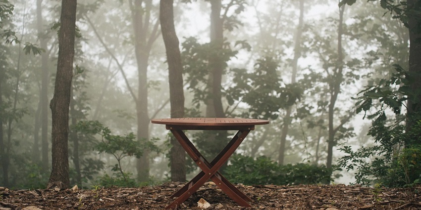 A picture of a table in the garden area of a cafe in Colombo with lush greenery all around
