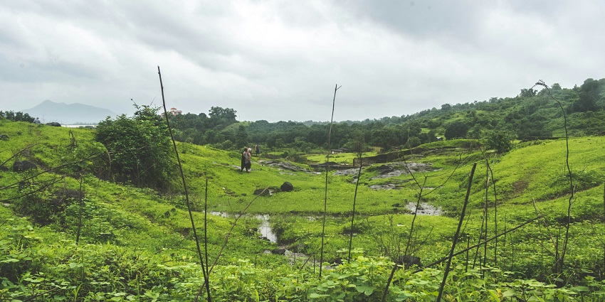 Scenic view of Shidi Ghat's lush green steps and waterfalls, a must-do in Bhimashankar.