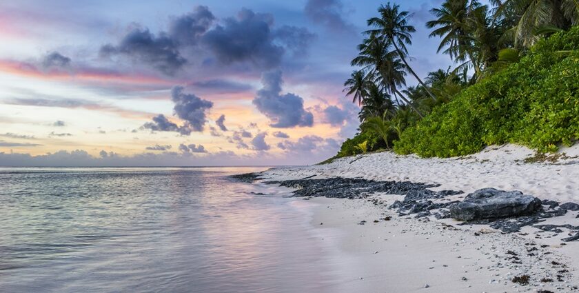 Image of a colorful beach, the sand near the waterline at a beach