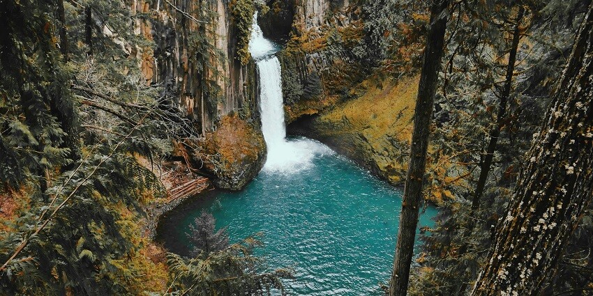 An image of the picturesque Bee Falls with lush greenery around and flowing water.