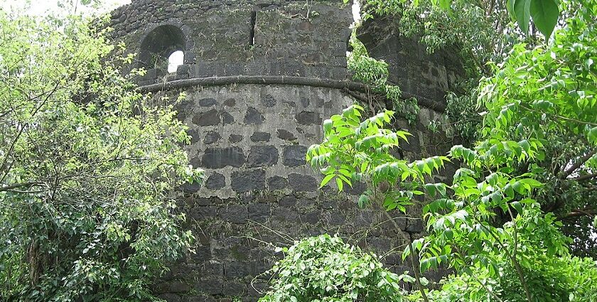 A distant view of the ruins of Belapur Fort, located in Navi Mumbai, surrounded by greenery.