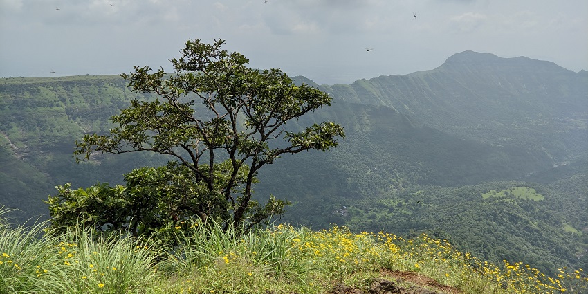 An image of Belvedere Point with lush green valleys below, one of the best Matheran Trekking.