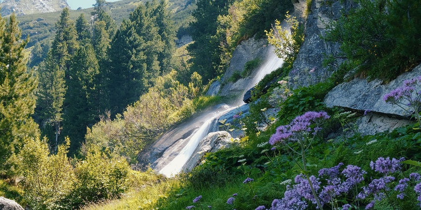 A serene stream flows through a forest, descend over rocks, one of the best waterfalls in Amaravathi.