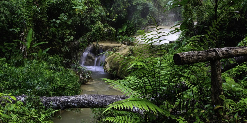Benne Hole Falls is one of the top places to visit near Murudeshwar for nature lovers.