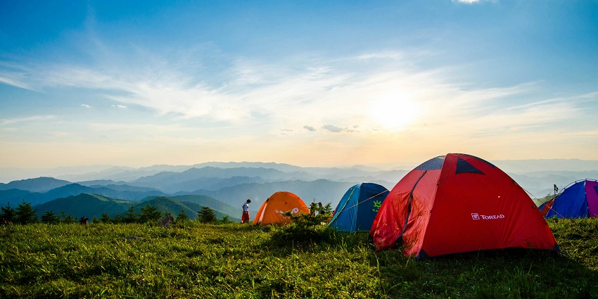 A glimpse of colourful stays being stretched upon the lush green fields of Maharashtra.