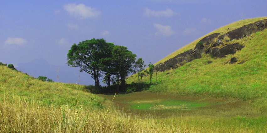 The best time to indulge in Chembra Peak Trekking is winter months when weather is pleasant.