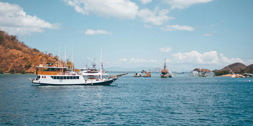 Several ships anchored and swimming in a calm bay, surrounded by scenic landscapes and clear blue waters.