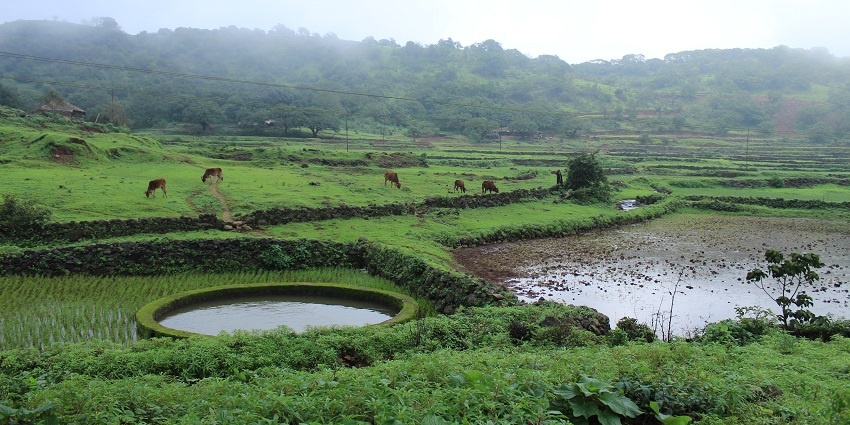A view of a serene atmosphere in Maharashtra, India, featuring majestic hills and overcast skies.