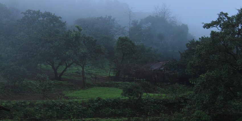 Scenic landscape of Maharashtra during monsoon, featuring lush green hills covered in mist.