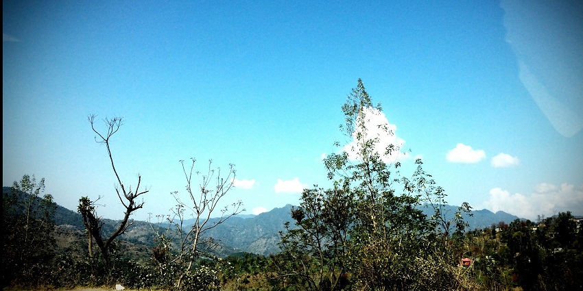 A vibrant landscape in Maharashtra during summer, featuring lush greenery and hills.